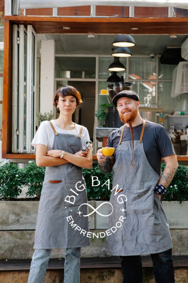 Programa Big Bang Lab Online